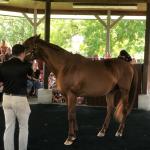 2019_OTRA_0579 (September 01, 2019)